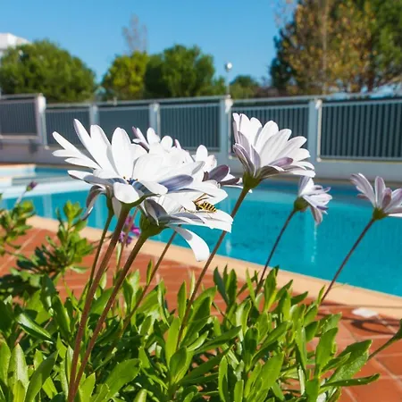 公寓 Casa Marjan Sol By Algartur - 5 Mins Downtown - Pool & Patio